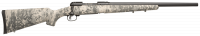 Savage 10 Precision Carabine